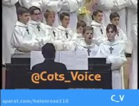 موسیقى به زبان گربه اى