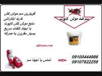 سم آلمانی موش کش قویترین سم نابودی انواع موش