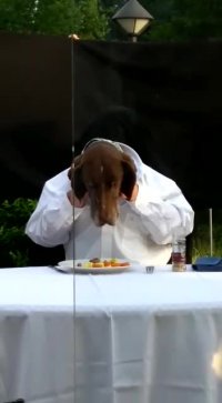 نمایش غذا خوردن سگ