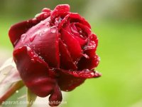 اخلاص - جلسه سوم