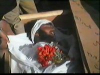 شهید محمد محب راد