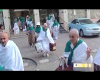 زائران ایرانی راهی عرفه شدند