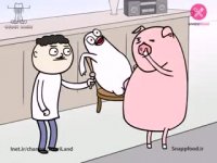 هم طویله ای سوریلند - آداب اجتماعی