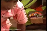 ازدواج  رسمی قورباغه ها