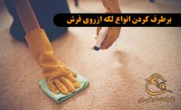 راهکاری برای حفظ و نگهداری از ریشه فرش
