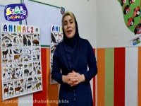 شباهنگ: شعر کودک آشنایی با گاو