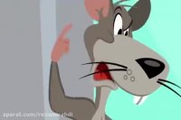 کارتون تام و جری | مجموعه کارتون های تام و جری