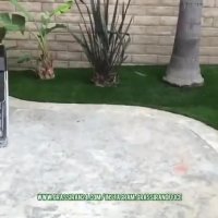 خرید چمن مصنوعی برای باغ تالار چمن مصنوعی جنس اصلی با ضمانت