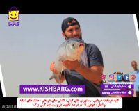 قشم جزیره ای برای آرامش،کیش را ارزان سفر کنید