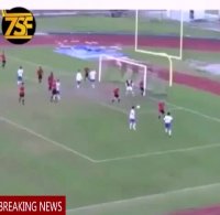 یک قیچی برگردان زیبا با پاس تماشایی