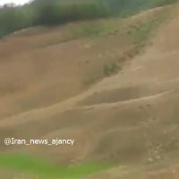 بی توجهی به تخریب محیط زیست بعدا گریبان همه را خواهد گرفت