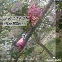 قیمت باغ ارزان قیمت در تفرش-املاک تفرش09183633655