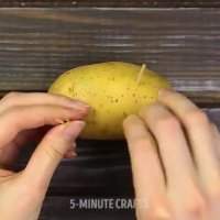 کاریرد های خلال دندان