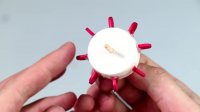 How to make a Three Wheel Car/Robot