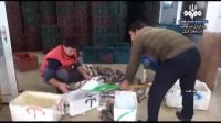 صادرات ۴ میلیون دلاری آبزیان از دریاچه ارس
