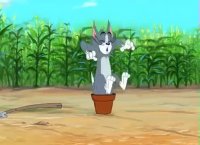 کارتون تام و جری سری جدید