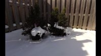 April in Canada!  Snow Melt Time Lapse