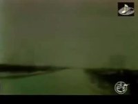 مرا سوخت خاموشی لاله ها