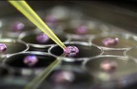 فناوری نانو و کاربرد های شگفت انگیز آن