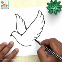 آموزش نقاشی کبوتر