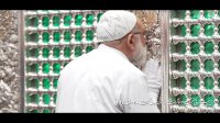 آئین غبار روبی مضجع نورانی حضرت امام رضا علیه السلام در آستانه ماه مبارک رمضان