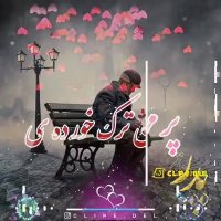 یک جمله به مناسبت روز پدر بنویس,لیس گپ