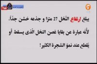 کلاس درس عربی زبان قرآن 3 (درک مطلب) پایه دوازدهم - 25 فروردین