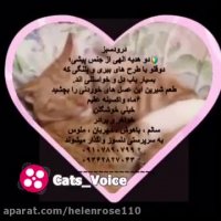 ‍واگذارى دو پیشى ؛دوقلو با طرح های پلنگى وببرى