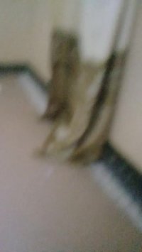 اتاق من بابایی نگاه