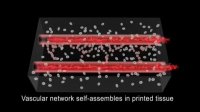 ساخت رگ های خونی زنده با پرینتر سه بعدی