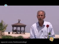 کیش و زندگی - ازدواج آسون یعنی؟ - شرایط ازدواج