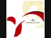 آهنگ Contradiction از آپارات - آلبوم Duplex