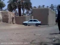 سیلمیـ اصیل خالص ایرآنی