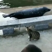 داشت بد نگاه می کرد!!!