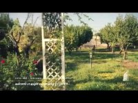 4800 متر باغ ویلای مجلل و لاکچری در محمدشهر کرج