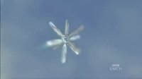 Frozen Planet  End of Earth - A Microscopic Timelapse of Snowflakes Forming   Matema Org