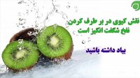 استخوانی سالم با مصرف کیوی