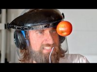 یک سیب را که بالا بیندازی هزار چرخ میخوره تا بترکه !