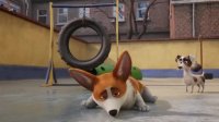 انیمیشن سینمایی سگ مورد علاقه ملکه 2019 Queens Corgi / دوبله فارسی / دنیای فیلم