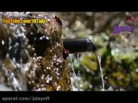 همه چیز در مورد مریم میرزاخانی