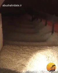 خرید عمده ارده - فروشگاه شرکت ابوشهر