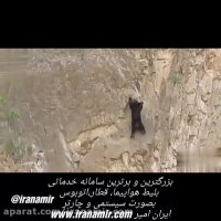 خرس های صخره نورد