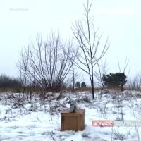 تست مقاومت گوشی نوکیا ساده 3310 در برابر انفجار! 😐