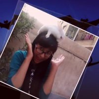 داستان جودی هویجی