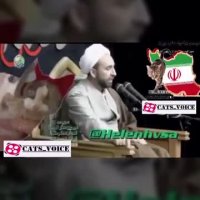 ویدیویى كه بیش از نصفى از دنیاى مجازى را به خود اختصاص