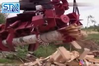 قطع درختان با استفاده از ماشین آلاتی شگفت انگیز