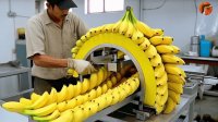 ویدیوهای جالب از دستگاه های مدرن صنعت غذا #80