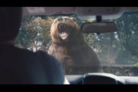 محافظت مثل یک مادر