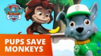 انیمیشن سگهای نگهبان : نجات میمون ها