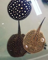 سفره ماهی های زیبای آب شیرین: